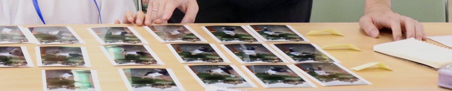 写真を並べて見比べながら、探究する手元